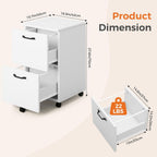 JIOABL 2 Drawer Rolling File Cabinet with Lockable Wheels, Mobile Printer Stand with Storage, Steel Frame, 1 Set