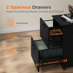 JIOABL 2 Drawer Rolling File Cabinet with Lockable Wheels, Mobile Printer Stand with Storage, Steel Frame, 1 Set