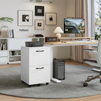 JIOABL 2 Drawer Rolling File Cabinet with Lockable Wheels, Mobile Printer Stand with Storage, Steel Frame, 1 Set