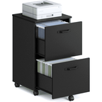 JIOABL 2 Drawer Rolling File Cabinet with Lockable Wheels, Mobile Printer Stand with Storage, Steel Frame, 1 Set