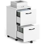 JIOABL 2 Drawer Rolling File Cabinet with Lockable Wheels, Mobile Printer Stand with Storage, Steel Frame, 1 Set