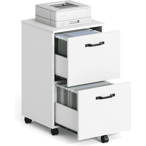JIOABL 2 Drawer Rolling File Cabinet with Lockable Wheels, Mobile Printer Stand with Storage, Steel Frame, 1 Set