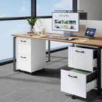 JIOABL 2 Drawer Rolling File Cabinet with Lockable Wheels, Mobile Printer Stand with Storage, Steel Frame, 1 Set