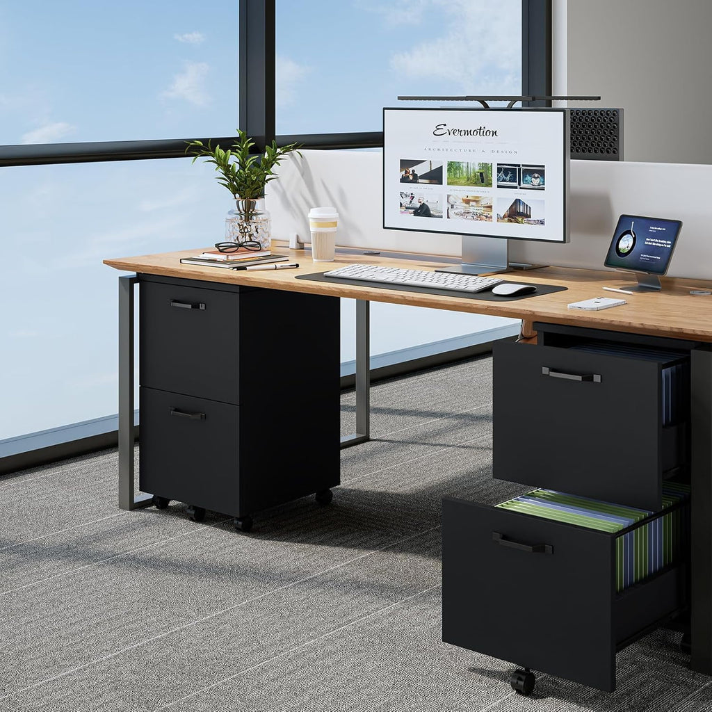 JIOABL 2 Drawer Rolling File Cabinet with Lockable Wheels, Mobile Printer Stand with Storage, Steel Frame, 1 Set